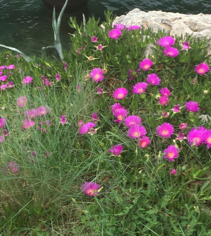 Guesthouse Antonija Veli Lošinj Dış mekan fotoğraf